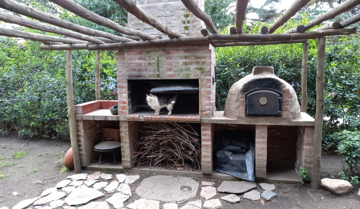 WhatsApp Image 2022-09-24 at 17.28.46 (1)