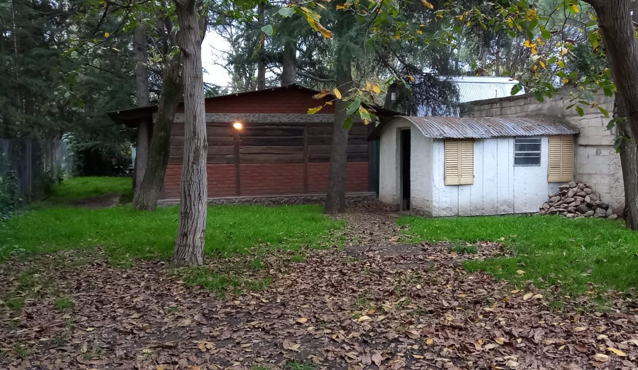 3b2091b0-0535-4241-a8e6-91dc6b49e18c