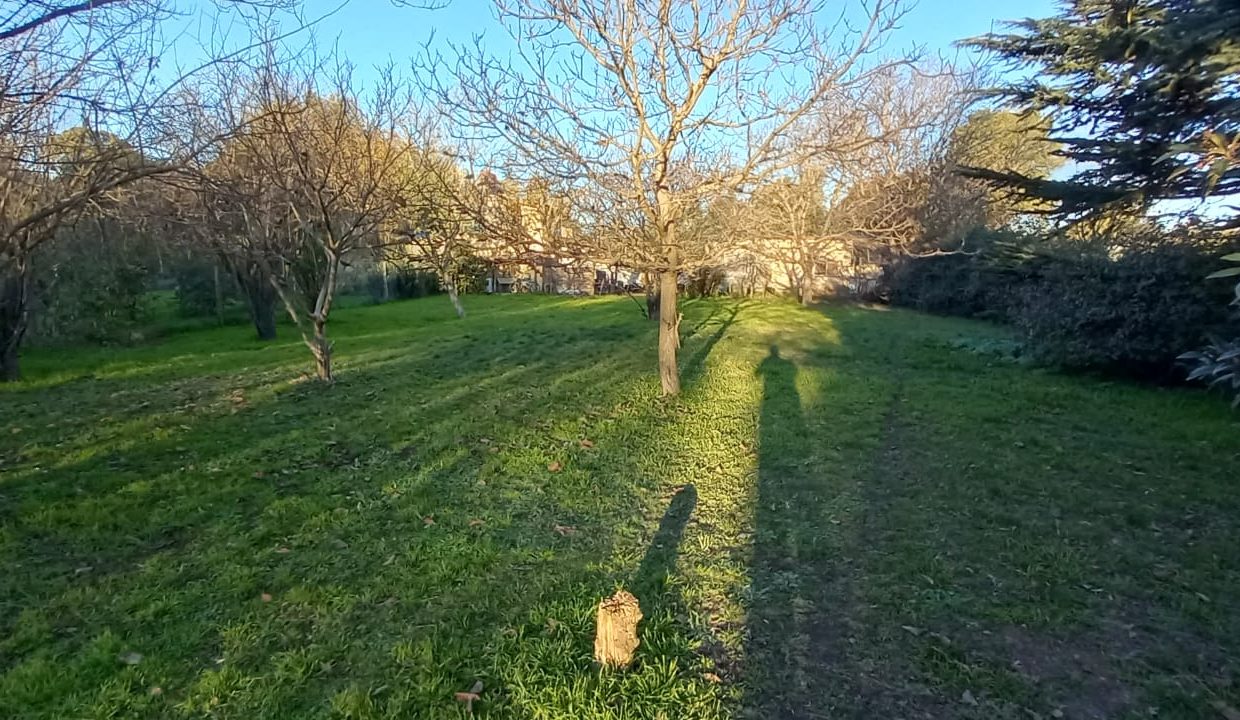 1b260dd1-dede-49e0-af99-d110b85b0d85