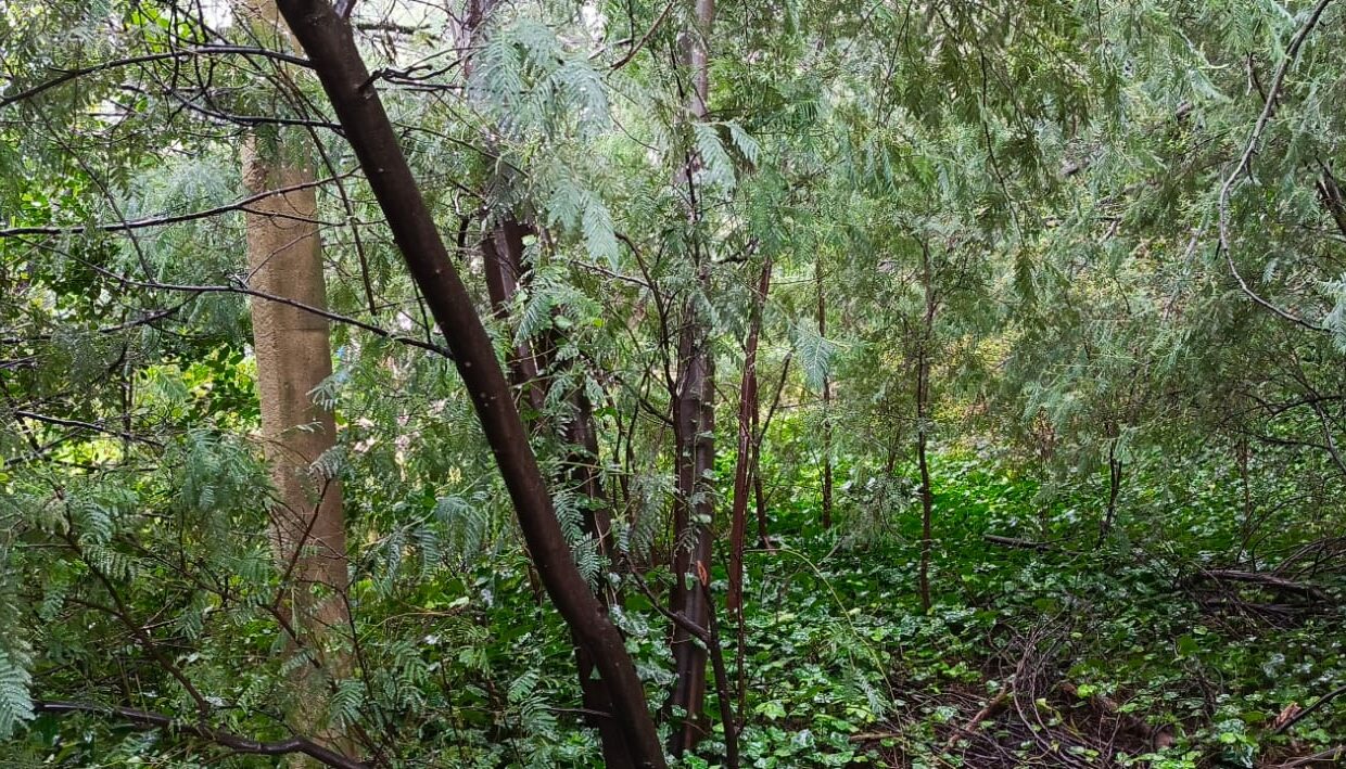 0841eeb0-816d-47fd-aa22-903d98c42f00