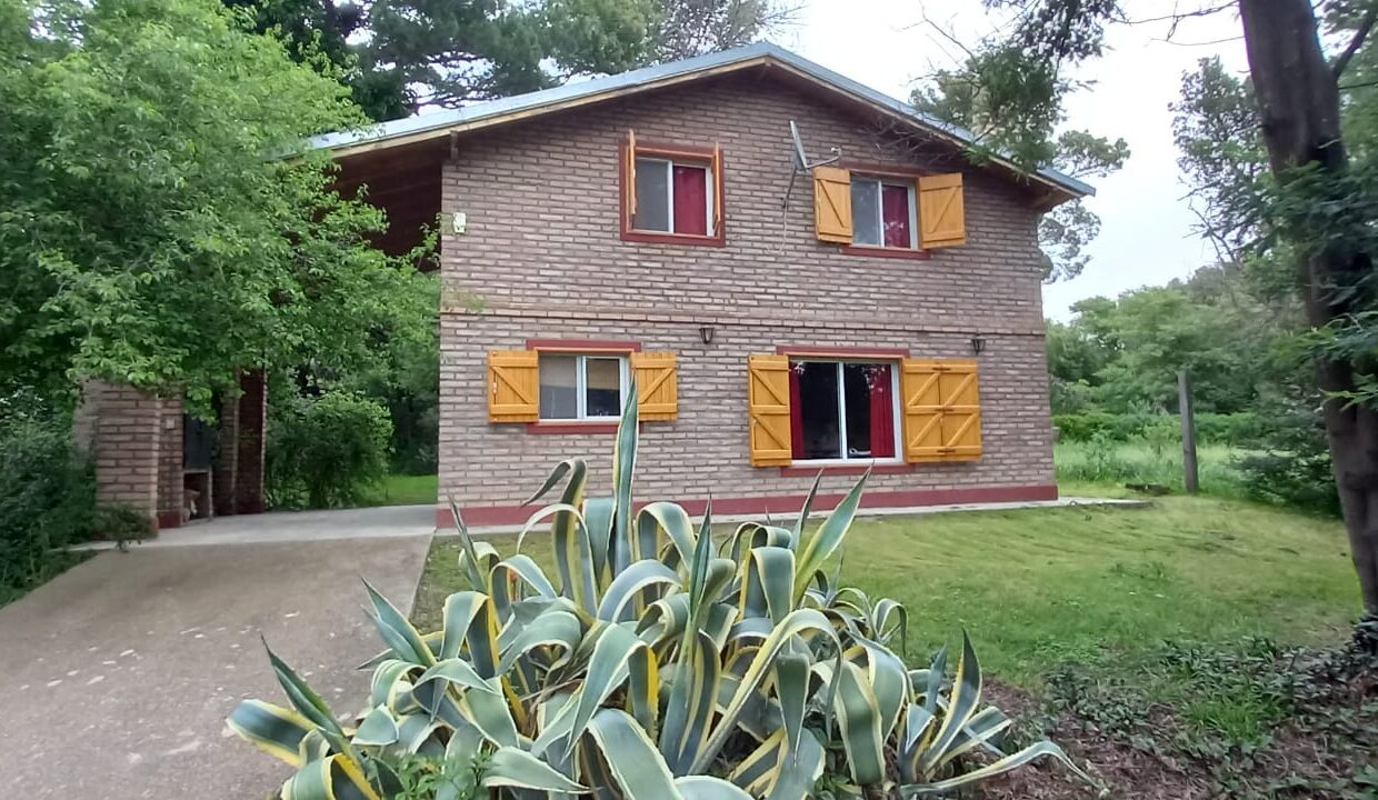 68e928fa-bcd9-437d-845f-f18e0b769096 (1)