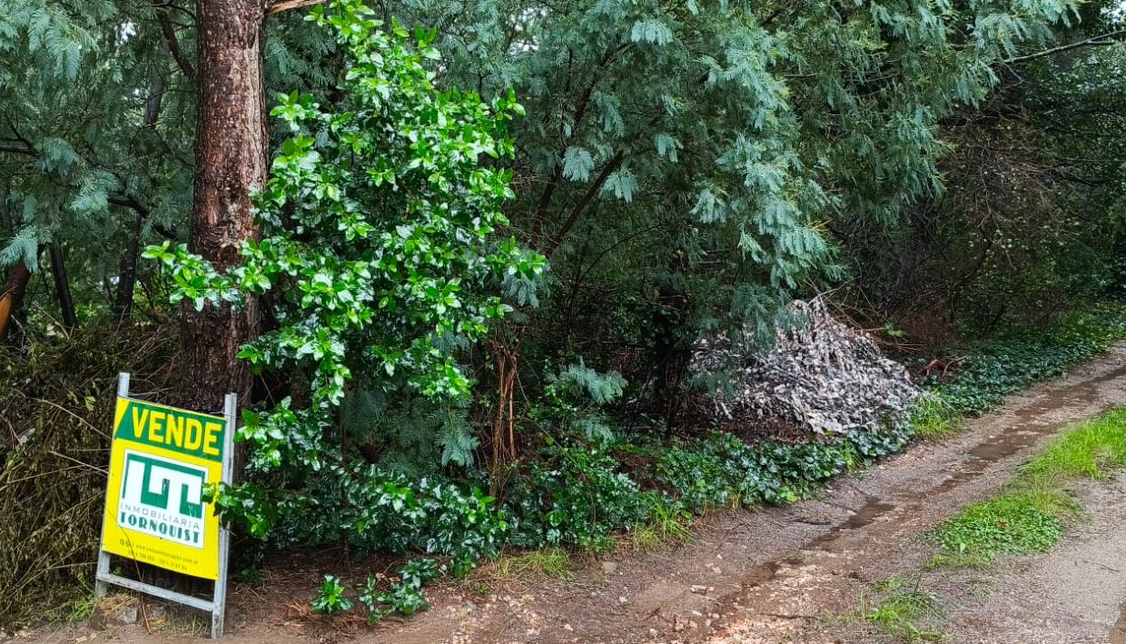 754b1f4e-39f7-497c-bfff-854e2347514a