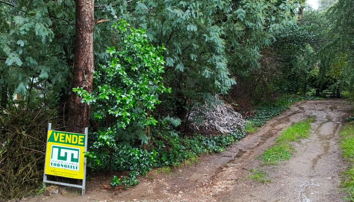 789512c3-19e5-438b-a3d8-ecb9a96b7784