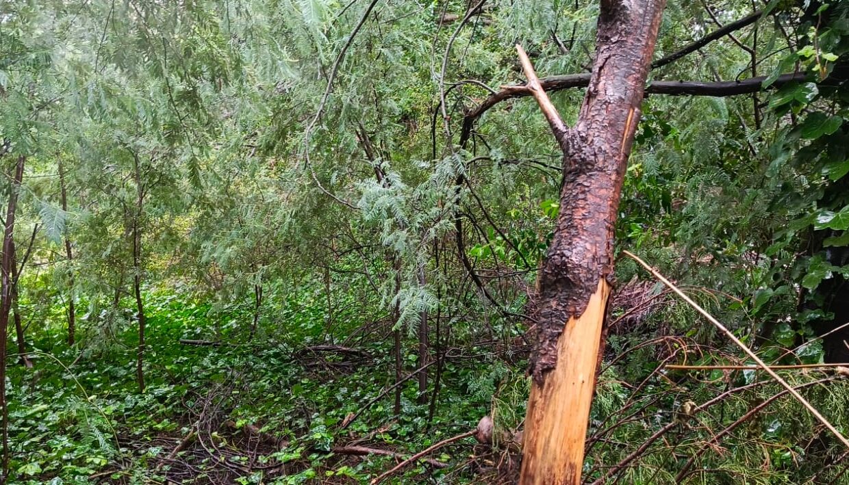 cbbd688f-f30b-4537-b177-d2231478879d